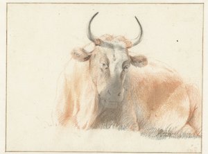 Liegende Kuh