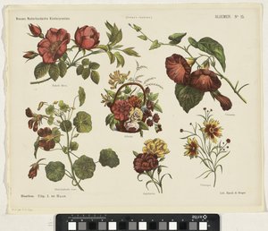 Blumen