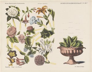 Wie man einen Blumenstrauß macht. Neue niederländische Kinderbilder. Funke