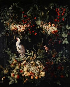 Girlanden aus Früchten mit Blumen um ein Kartusche mit einem Gelbhaubenkakadu von Jan van (attr. to) Kessel