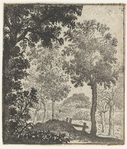 Landschaft mit großem Baum im Vordergrund