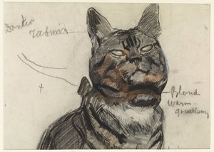 Katze, mit Farbanmerkungen von Jan van Essen