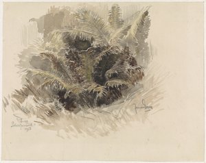 Königsfarn in einem Garten in Scherpenzeel von Jan van Essen