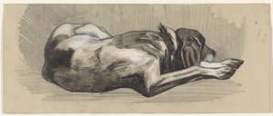 Schlafender Hund, nach rechts von Jan van Essen