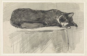 Schlafende Katze