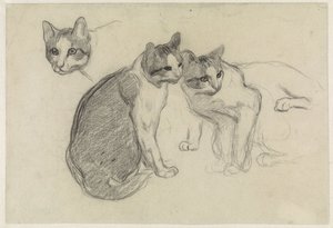 Studienblatt mit Katzen