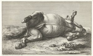 Gefallenes Pferd auf der linken Seite liegend
