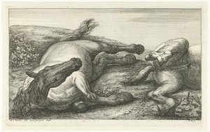 Zwei gefallene Pferde, das linke von vorne gesehen (Gefallene Pferde) von Jan van Huchtenburg