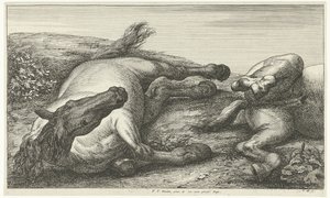Zwei gefallene Pferde, das linke von vorne gesehen (Gesneuvelde paarden)