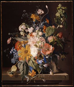 Mohnblumen, Stockrose, Prunkwinde, Viola, Gänseblümchen, Duftwicke, Ringelblumen und andere Blumen in einer Vase mit einer Schnecke auf einem Sims von Jan van Huysum