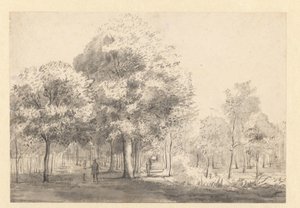 Ansicht des Haarlemmerhout, Haarlem von Jan van Kessel (attributed to)