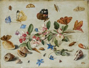 Blumen und Insekten, späte 1650er oder frühe 1660er Jahre von Jan van Kessel