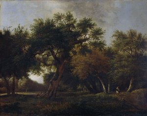 Ansicht im Wald von Jan van Kessel