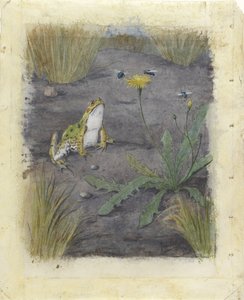 Frosch bei einer Pusteblume mit Fliegen