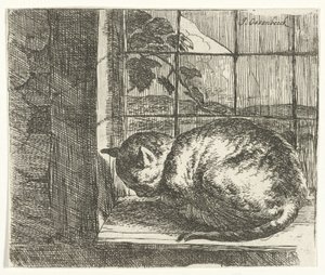 Katze im Fensterrahmen von Jan van Ossenbeeck