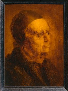 Studienkopf eines alten Mannes von Jan van de Venne