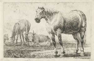 Pferde und Kühe (Serie: Dieren, Zoographiam) von Jan van den Hecke