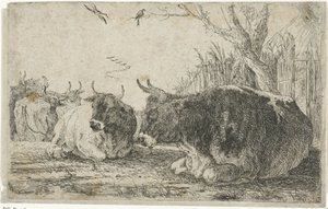 Ruhende Kühe von Jan van den Hecke