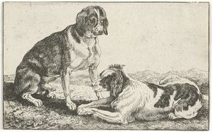 Zwei ruhende Hunde