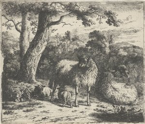 Stehendes Schaf mit zwei Lämmern