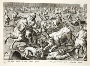 Eine Massenstierkampf in einem Gehege, Illustration aus 