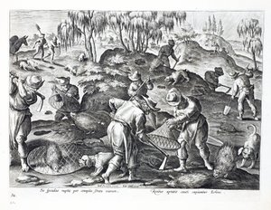 Ausgraben und Fangen von Stachelschweinen, Platte 54, Illustration aus 