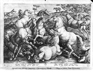 Pferde in der Wildnis von Jan van der Straet