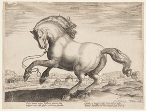 Ein dänisches Pferd, aus dem vierten Set von "Equile Joannis Austriaci" von Jan van der Straet, called Stradanus