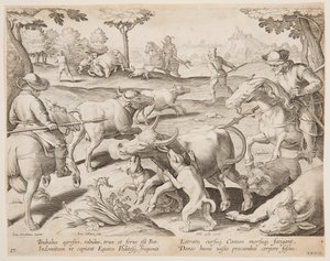 Büffeljagd, Platte 27 in der Serie Venationes Ferarum, Avium, Piscium