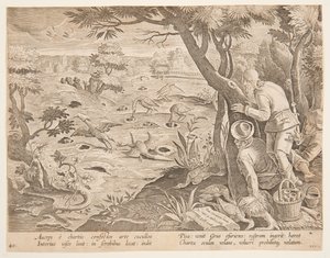 Kranichjagd mit Kegeln, Platte 28 in der Serie Venationes Ferarum, Avium, Piscium von Jan van der Straet, called Stradanus
