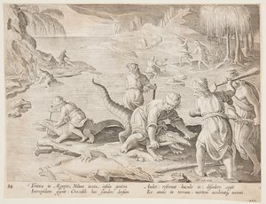 Krokodiljagd in Tentyra, in Ägypten, Tafel 30 aus der Serie Venationes Ferarum, Avium, Piscium von Jan van der Straet, called Stradanus