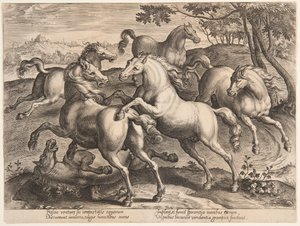 Kämpfende Pferde, aus dem vierten Satz von "Equile Joannis Austriaci"
