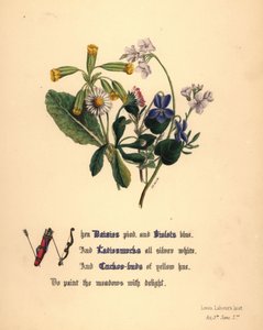 Gänseblümchen, Veilchen, Wiesenschaumkraut und Kuckucksblumen von Jane Elizabeth Giraud