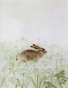 Kaninchen
