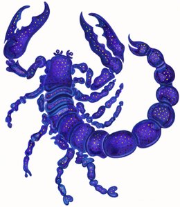 Skorpion von Jane Tattersfield