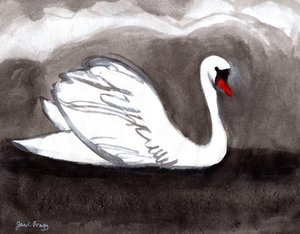 Schwan auf stürmischem See, 2023