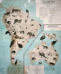 Karte der Tiere in Südamerika und Australien