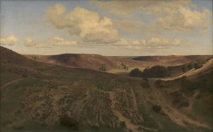 Landschaft bei Nejsum in Vendsyssel von Janus La Cour