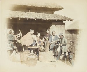 Reisentspelzen in Japan