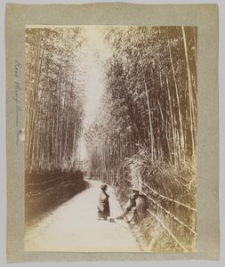 Straße durch einen Bambushain, Japan
