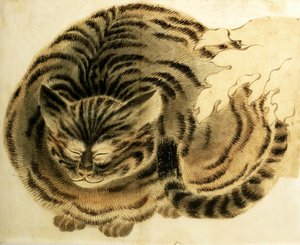 Schlafende Katze von Japanese Photographer