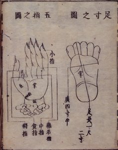 Diagramm der Akupunkturpunkte in Händen und Füßen, aus einem japanischen Kommentar zu einem chinesischen Werk über Akupunktur, dem Shisijing fahui von 1341 von Hua Shou, Kyoto von Japanese School