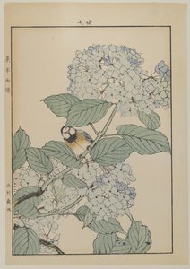 Vogel mit Hortensie, Meiji-Periode, ca. 1868-1912 von Japanese School