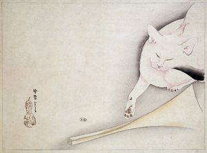 Katze, japanische Zeichnung, 19. Jahrhundert von Japanese School