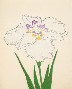 Cho-Hiyen, Nr. 91, 1890 von Japanese School