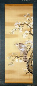 Falke auf einem blühenden Ast der japanischen Kirsche. Seidenmalerei aus dem 18. Jahrhundert aus Japan. Genua. Museo Chiossone.
