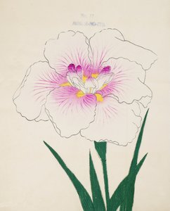 Misuji-no.-Ito, Nr. 17, 1898 von Japanese School