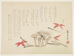 Pilze, Ahornblätter und Kiefernnadeln von Japanese School