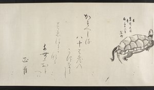 Or. 14872, f.29, Eine Schildkröte, aus Yoshida Seisai von Japanese School