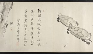 Zwei Schildkröten, aus Yoshida Seisai von Japanese School